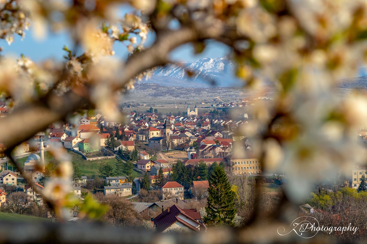 Livno